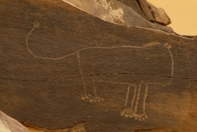 Animal by Prehistoric